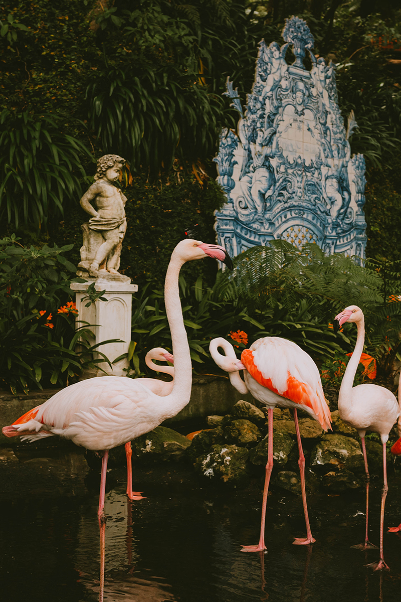 Photo-Prints-Photography-Madeira